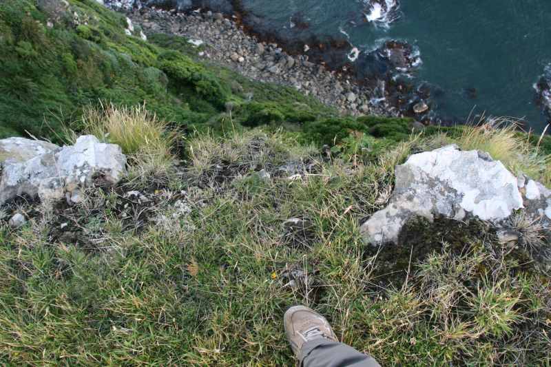 Nieuw-Zeeland 2011 - 1863